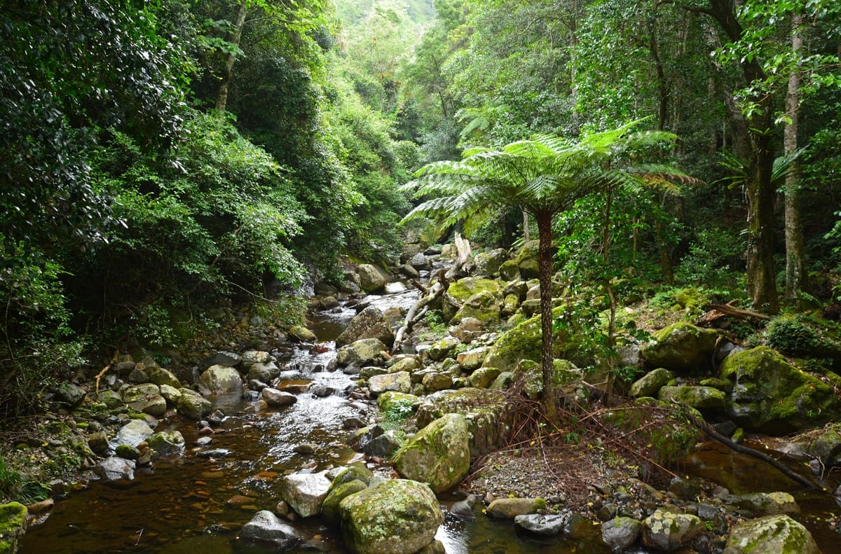 Factors that Shape Places Geography Excursion