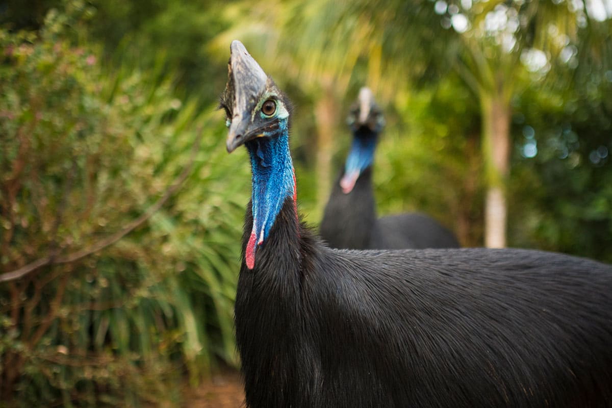 Factors That Shape Places at Symbio