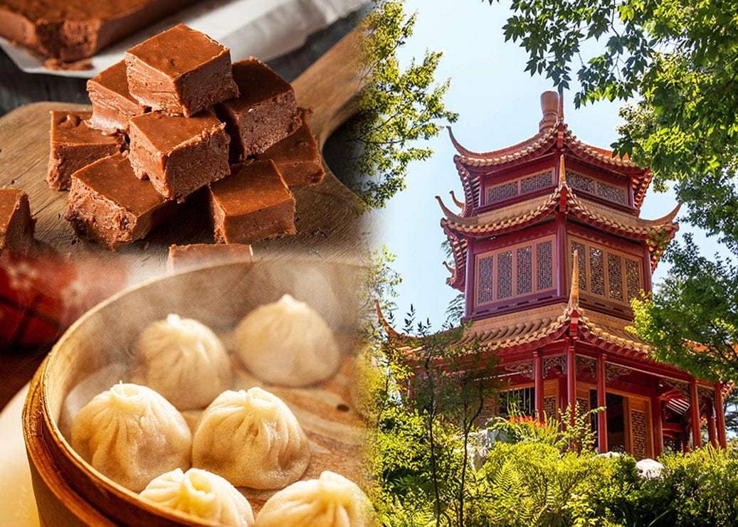 City Cultural Tasing Adventure Vacation Care