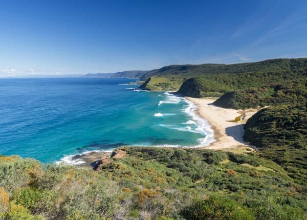 Environmental Change & Management Garie Beach