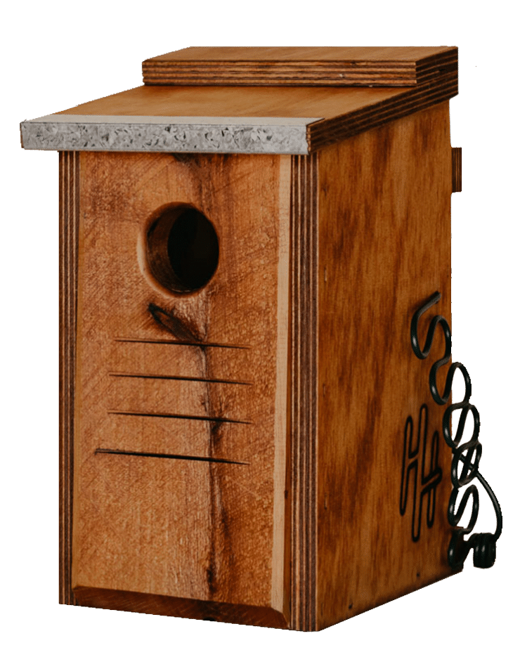 Bird Box