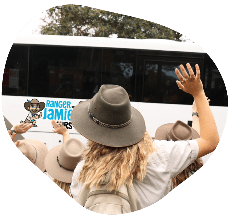 Customised High School Excursions with Transport