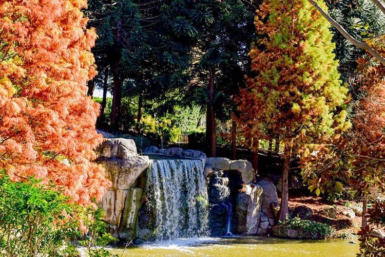 Places are Similar and Different + Earth's Environment at Hunter Valley Gardens