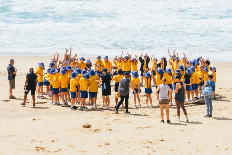 Childhood Education Programs Childhood Education Programs