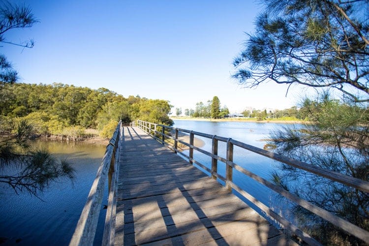Sustainable Biomes at Puckey's Estate