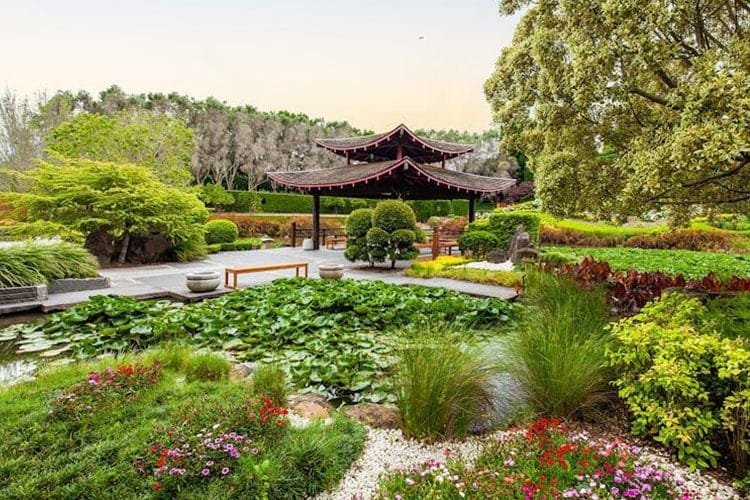 Diverse Connected World Excursion at Hunter Valley Gardens